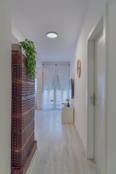 Apartman Scala Zadar Exterior photo